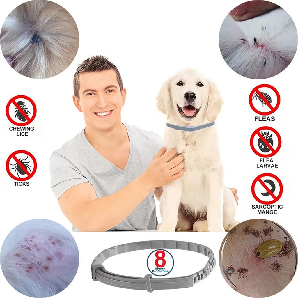 8 Months , Anti-parasite Collar, Anti-flea, Anti-tick, Leishmaniosis,For Small And Medium Dogs