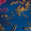 Bevestiging accessoires – Paperclips