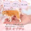 Alles Vertrauen Shiba Inu Shiba Inu Lustig Innen Hund Figur Merchandise, Figur, Kacka, Artikel, Dekor, (Rot, Kacka)