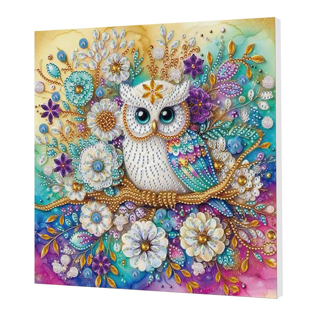 DIY Special Shape Drill Art Craft Pearl Diamond Painting with Frame 25x25cm Pearl Art Painting Set for Adults Home Wall Decor