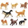 Entzückendes Miniatur-Hundemodell Realistisches PVC Husky Golden Retriever Shiba Inu Ausstellungsfigur