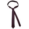 Zebra Leopard Print LOVE Poker 5cm Tie with Unisex Shirt - Versatile, Customizable 
