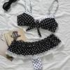 Bikini neues europäisches und amerikanisches Rock-Anzug, sexy Damen-Badeanzug, neuer Badeanzug mit Polka-Dot-Print