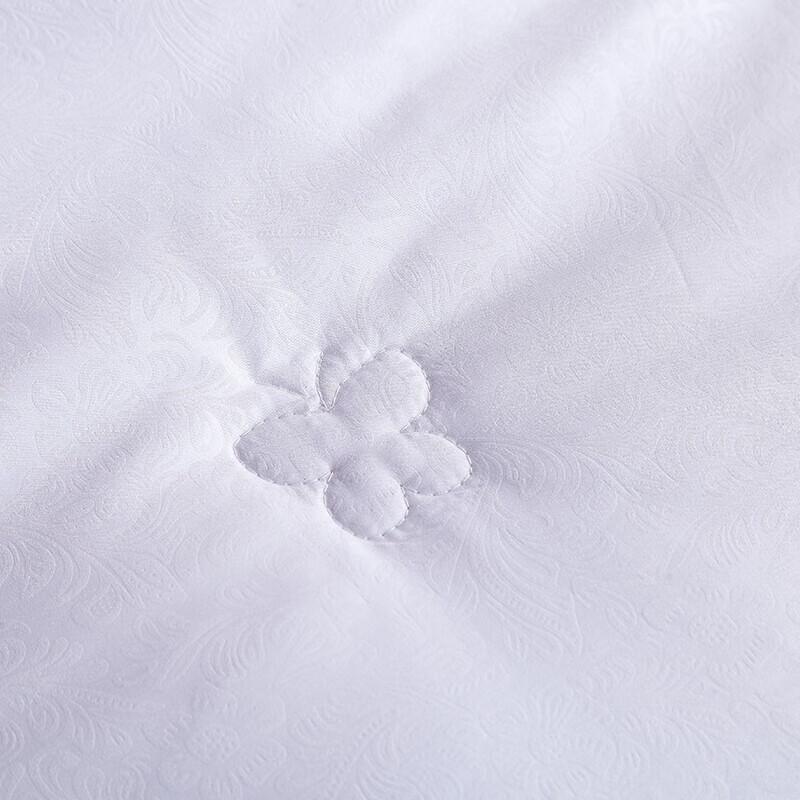 HENGYUANXIANG All-Season Silk Quilt