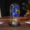 Three glass cover rose ornament creative Christmas Valentine's Day gift immortal flower gold foil night light