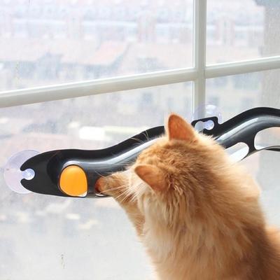 ping pong ball cat toy