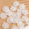 Set of 30 Sewing Flower Applique for Craft Fabric Flower Sewing Accessories for Home Decoration Clothing Wedding Dress
