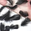 50Pcs Macaron Color Small Feather Small Goose Feather Wedding Festival Event Stage Decoration Gift Box Filling Material