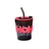 Light Luxury Glass Water Bottle with Straw