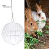 Hanging Chicken Feeder Hamster Rabbit Treat Ball Vegetable String Ball Poultry Fruit Holder with Adjustable Height Stainless Steel Chain Easy