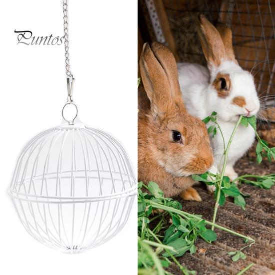 Hanging Chicken Feeder Hamster Rabbit Treat Ball Vegetable String Ball Poultry Fruit Holder with Adjustable Height Stainless Steel Chain Easy