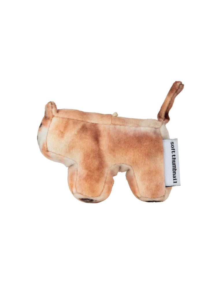 SOFTTHUMBNAIL Guma, Shiba Inu
