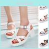 Elegant Women Platform Sandals With Open Toe For Casual Summer Wear In Weave Design