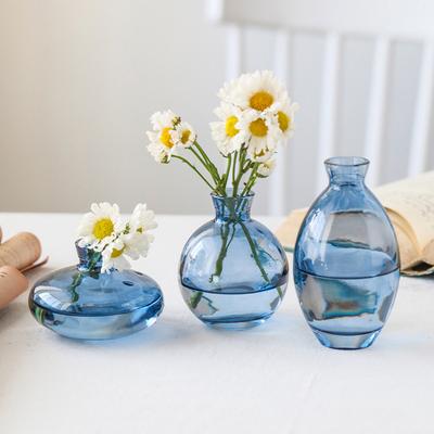 Klassische Kreative Vase Top Qualität Glas Transparent Hydroponische Vase Wohnzimmer Blumenvase Heimdekoration