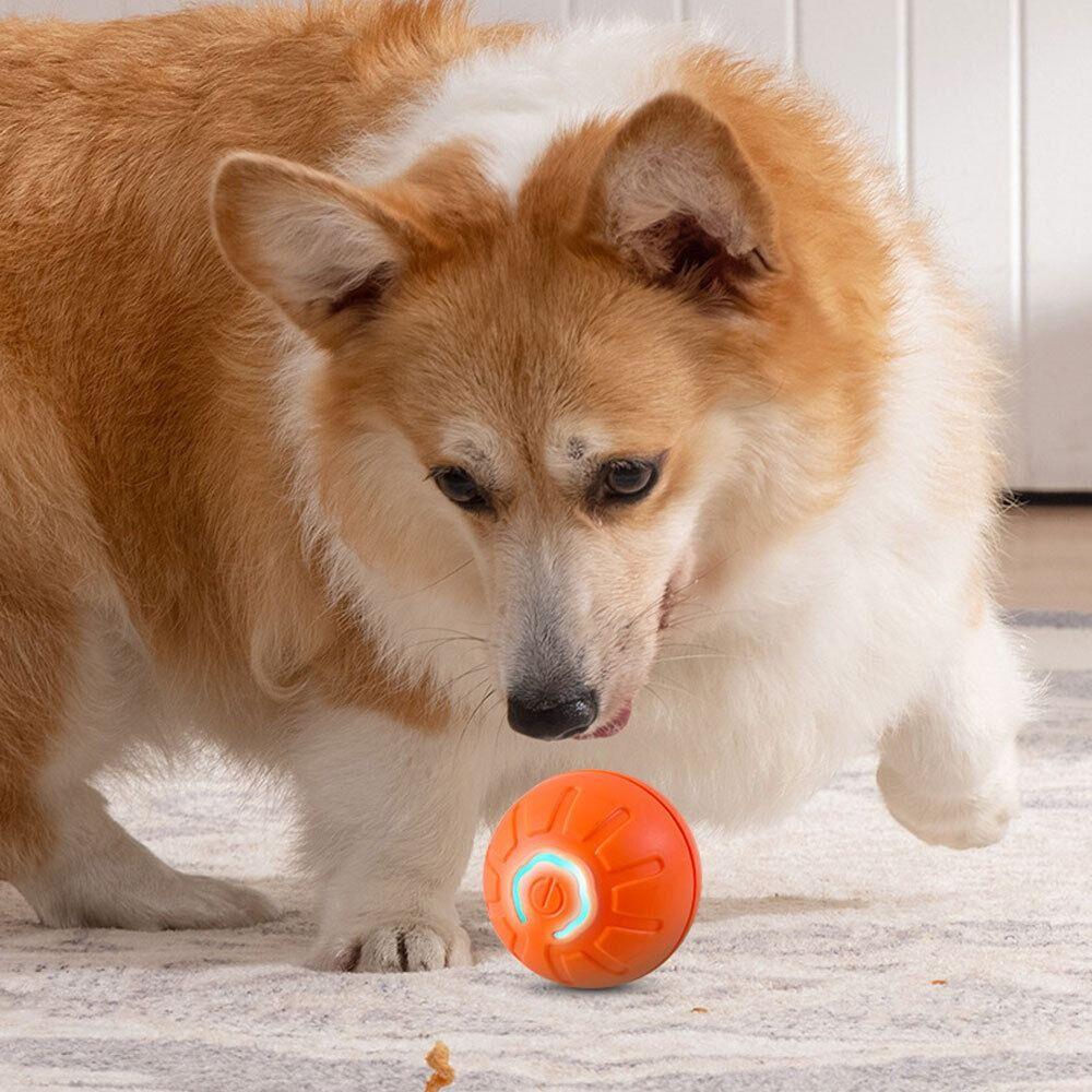 Intelligent Teasing Dog Ball LED Automatic Rolling Ball Toys NEW Dog Interactive Toy Ball