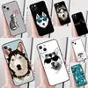 Huse pentru telefoane – Huse tip bumper pentru telefon