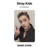Stray Kids ODDINARY Official Photocard
