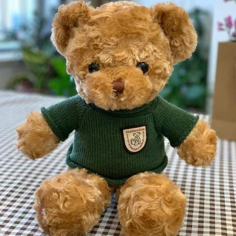 Sweater Bear Doll Birthday Gift Teddy Bear Plush Toy Doll
