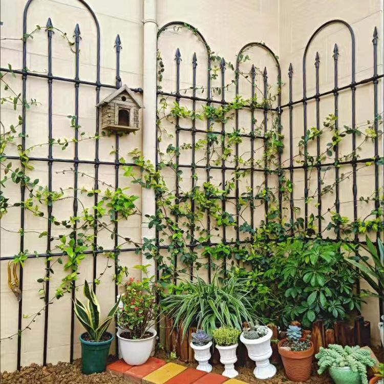 Outdoor Rose & Clematis Climbing Frame Stand with Pergola for Balcony or Garden