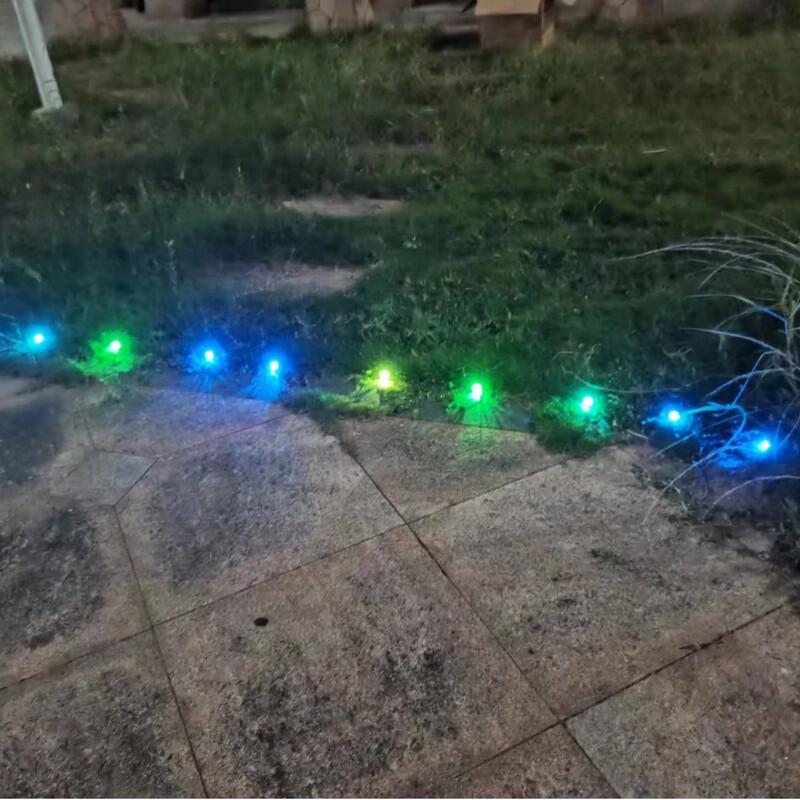 Warm White Solar Path Lights (Set of 2)