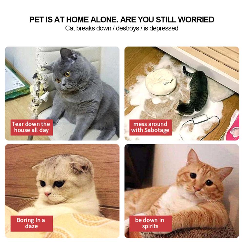 Cute Cat Face Catnip Cats Toy Kitten Teeth Chewing Biting Plush Toys Cat Plush Thumb Pillow Pet Accessories