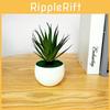 Gladiolus Artificial Green Plant Pot With Injection Molded Pvc For Home Office Interior