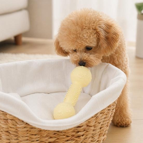 Dog Chew Toy, Soft TPR Teething Bone for Small Dogs, Stain Resistant Deep Teeth Cleaning Stick for Puppy