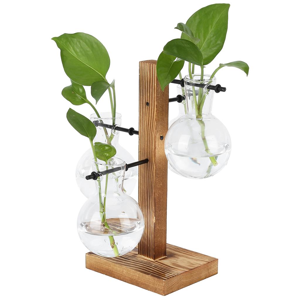Innovative Hydroponic Vase with Wooden Stand Transparent Desktop Flower Vase for Home