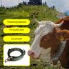 Cattle Collar Adjustable Buckle Thickened Widened Nylon Belt Sheep Ropes Large Dogs
