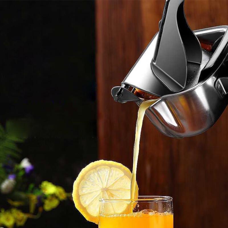 304 Stainless Steel Manual Fruit Juicer