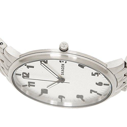 Skagen SKW6200 Silver Watch [Parallel Import]