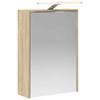 Bathroom Mirror Cabinet with Door Sonoma Oak 43 X 16 X 62.5 Cm