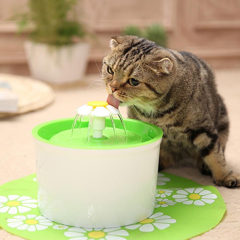 pet water fountain dispenser