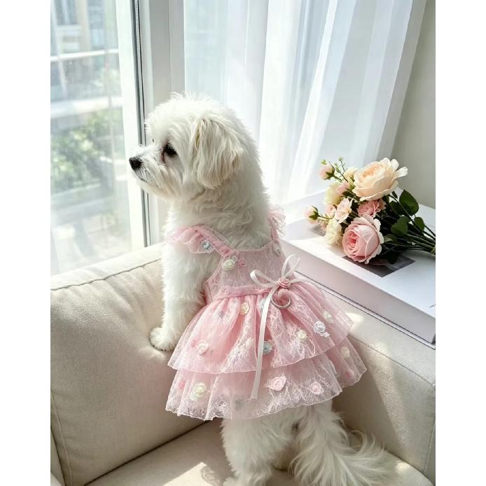 Sweet Lace Princess Dog Dress Thin Puppy Summer Clothes with 3D Floral Decor For Small Medium Cat Teddy Chihuahua Dog Clothes