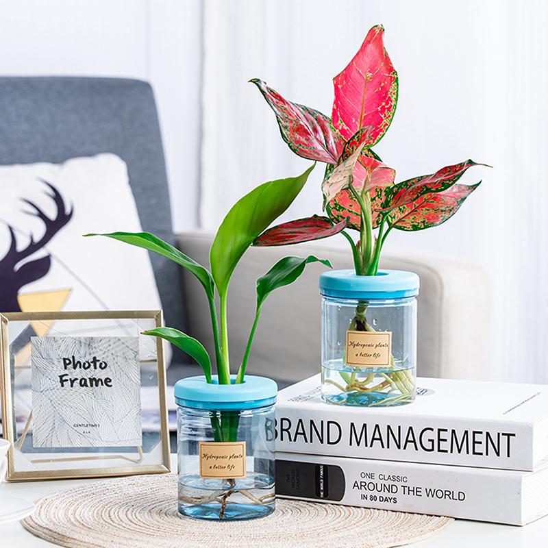 

Мини-гидропонный цветочный горшок, декоративная ваза для дома, прозрачные искусственные стеклянные горшки для растений без почвы, зеленые горшки для растений для украшения дома синий