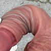 10.24" Wearable Realistic Silicone Dildo, Soft Skin Feel Penis Toy, Flexible Long Design, Anal & G-Spot Stimulator for Women Couples