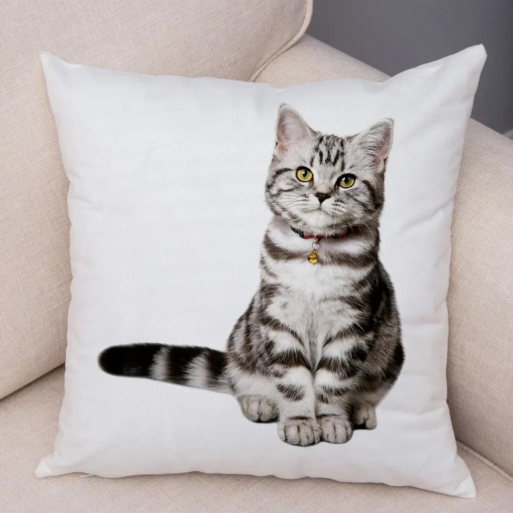 1PC 45x45cm Cute Cat Pillowcase for Home Sofa Children Room Decor Lovely Pet Animal Print Cojines Cushion Cover Pillow Case