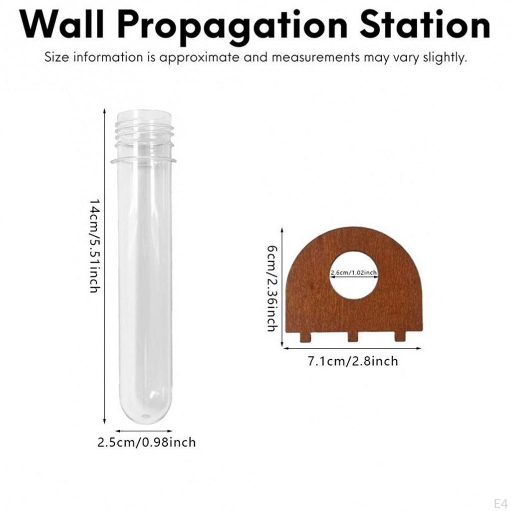 Vase, Wall Hanging, Wooden Shelf, Easy to Install, Cutting Holder, Plant Container, Test Tube,