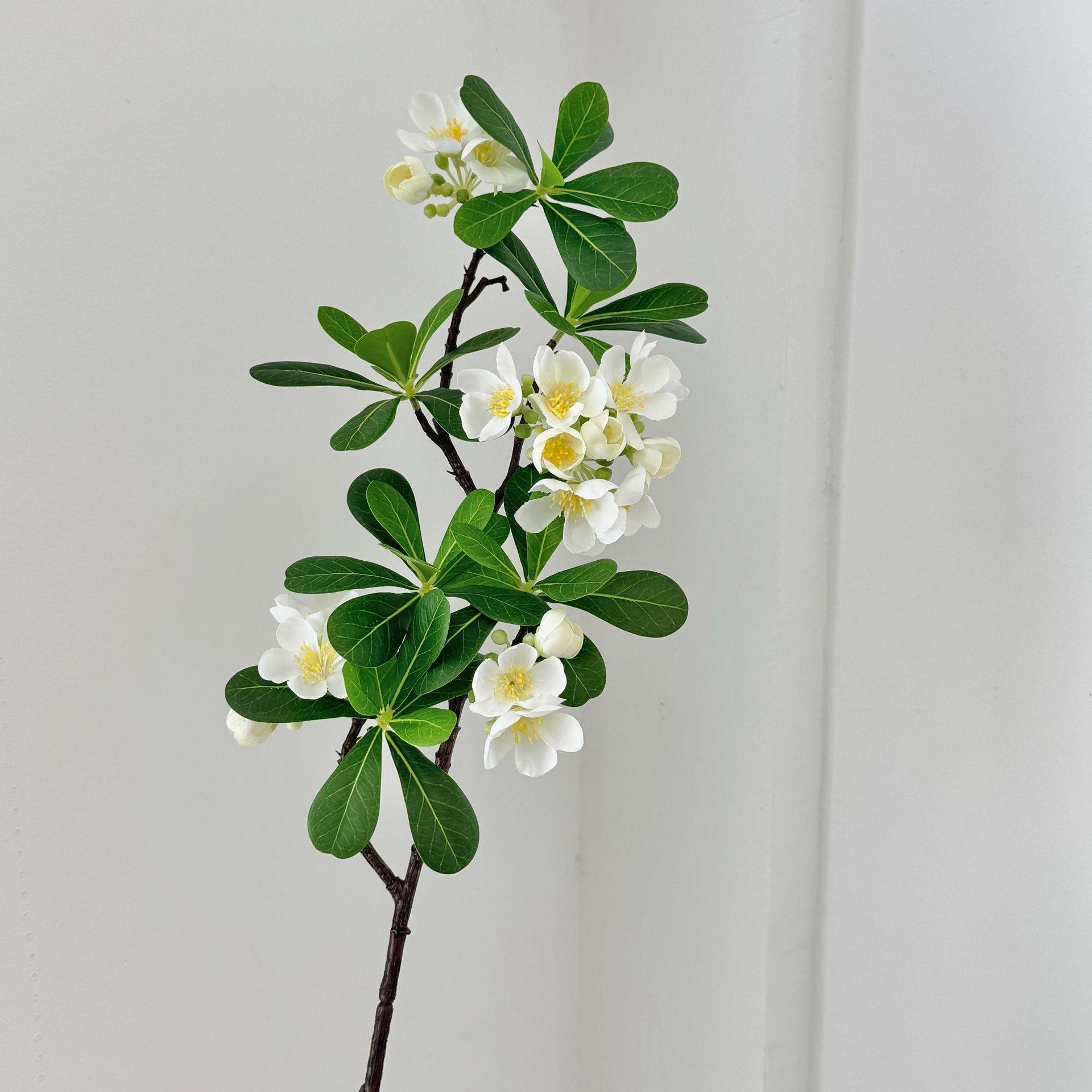 High-End Artificial Pittosporum Forest Landscape Tree Branch for Living Room Decoration