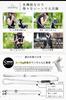Dog Lead owners living with puppies and senior stretchable for a more relaxed lifestyle and waist shoulder strain suitable for long Shoulder for small