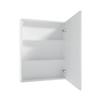 Reflection 50 White Wall-hung Bathroom Cabinet with Mirror