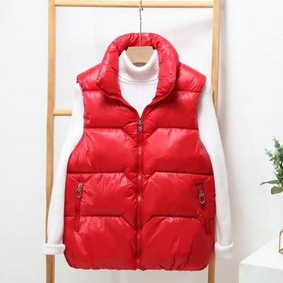 Gilet Giacca Invernale da Donna con Zip Spesso Imbottito Collo Rialzato Protezione Collo Senza Maniche