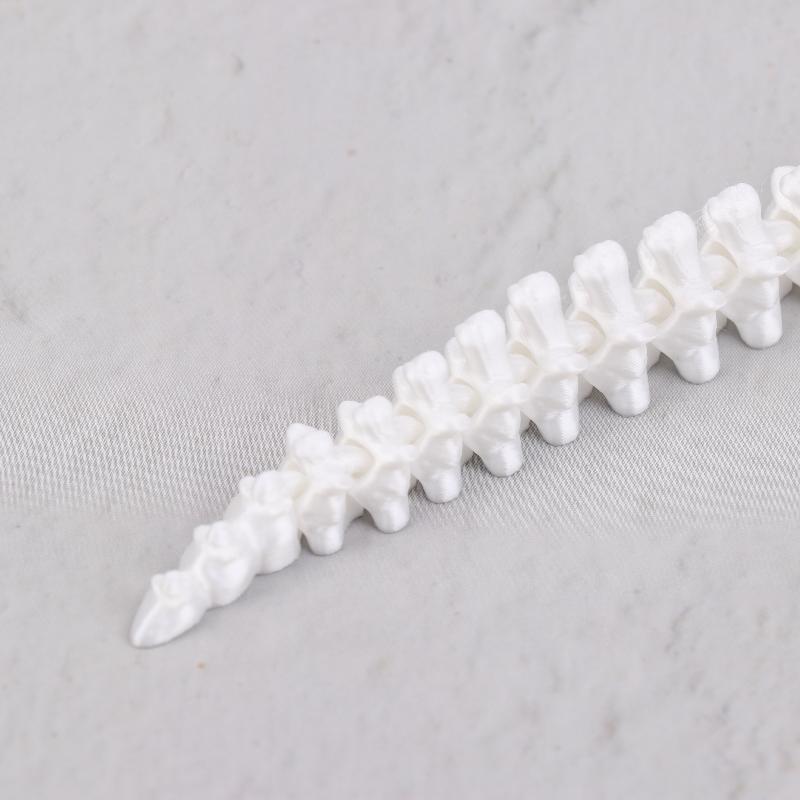 1 sztuka Realistyczna replika szkieletu Mosazaura Dekoracja do akwarium Model szkieletu dinozaura Do dekoracji akwarium