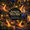 Waterproof Solar Dragon Fire Garden Light LED String Lights  for Lawn Yard Patio Decor