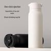 CAOX Magnetic Tea Infuser Thermos
