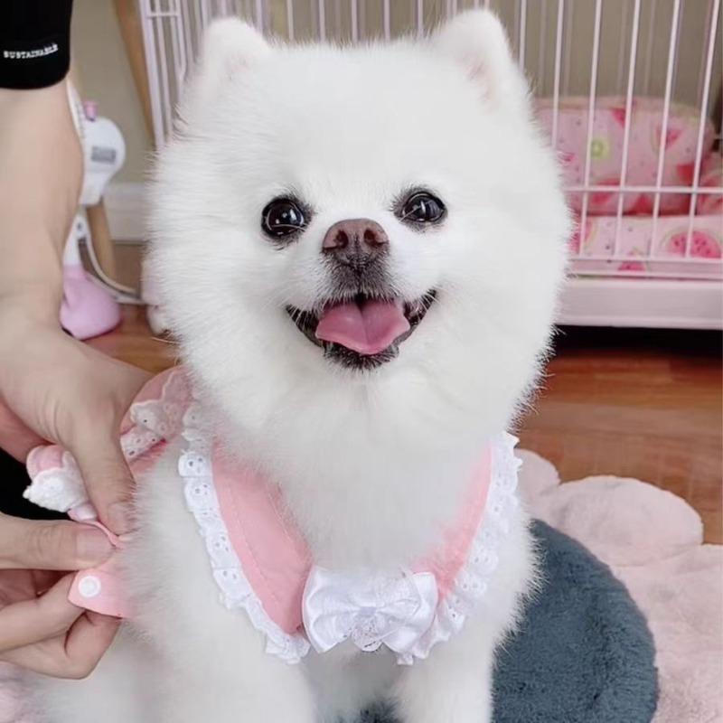 Chest Strap New Pet Cat Dog Strap Lace Leash Chest Back Out Artifact