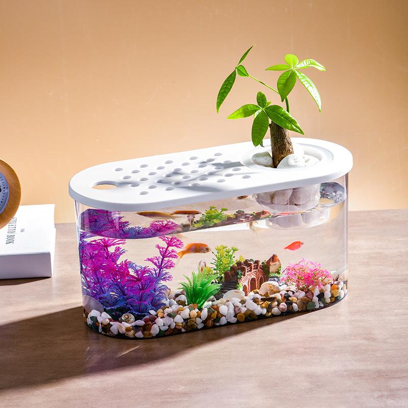 Clear Oval Desktop Fish Tank & Turtle Habitat Ornament