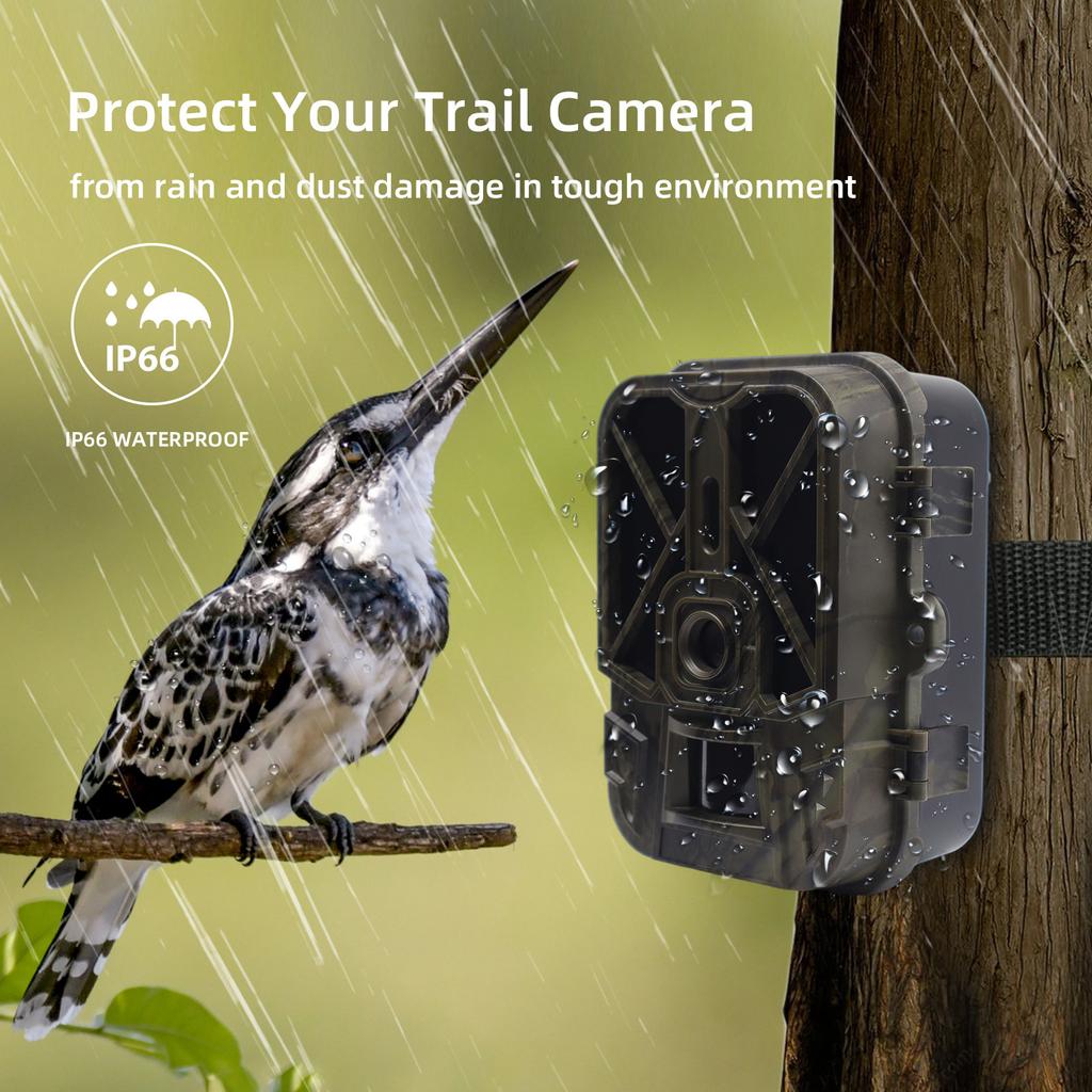 SUNTEKCAM 940PROLI Trail Camera, 4K, 36MP, WiFi, Bluetooth, Night Vision, IP65 Waterproof