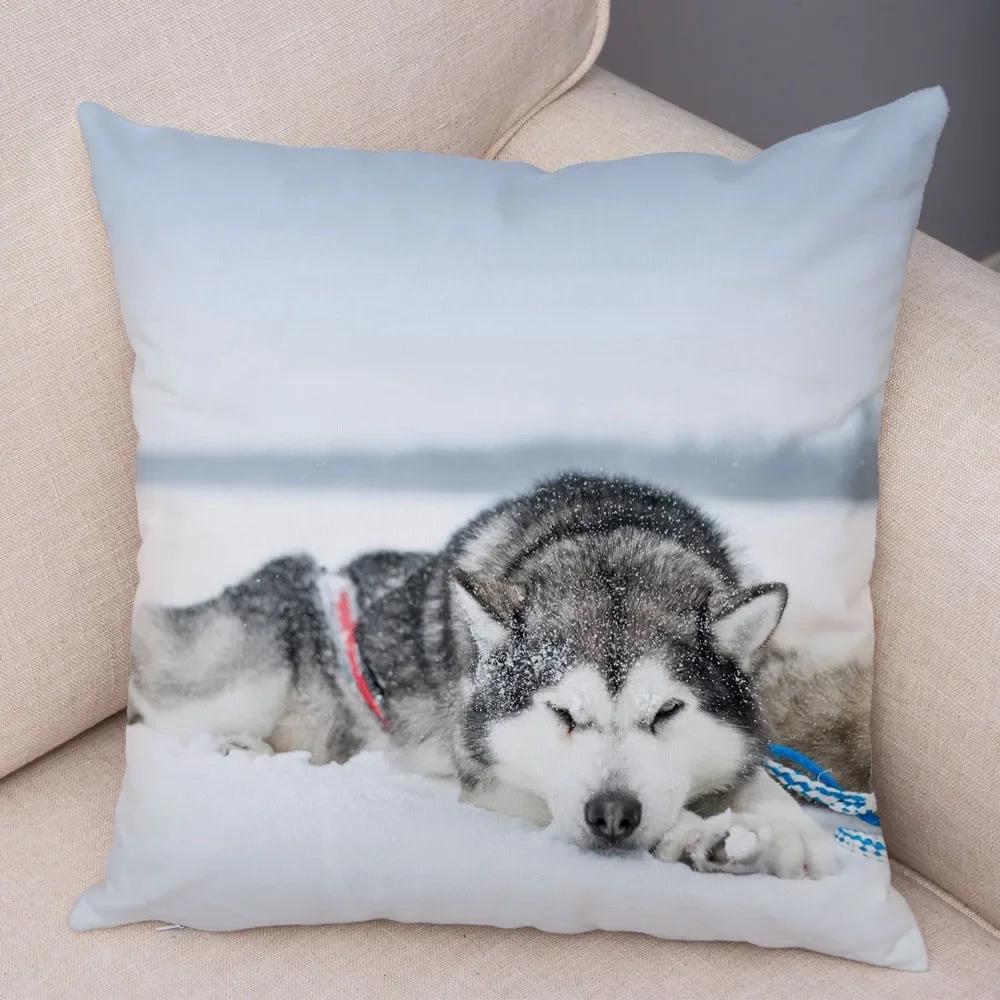 Pet Animal Sofa Cushion Cover Cute Siberian Husky Pillowcase Decorative Dog Print