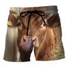 Funny Cows Pattern Beach Shorts Fashion Summer Vacation 3D Animals Printed Mens Board Shorts Casual Breathable Loose Swim Trunks